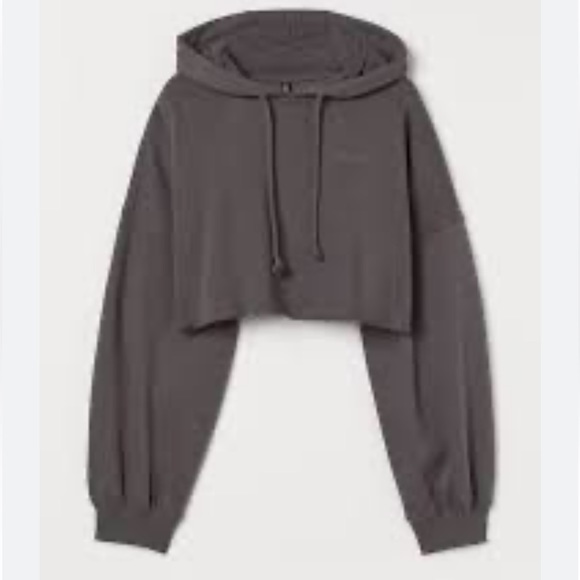Champion cropped hoodie in Slate Gray size Large Thick and comfortable like new. - Picture 1 of 4